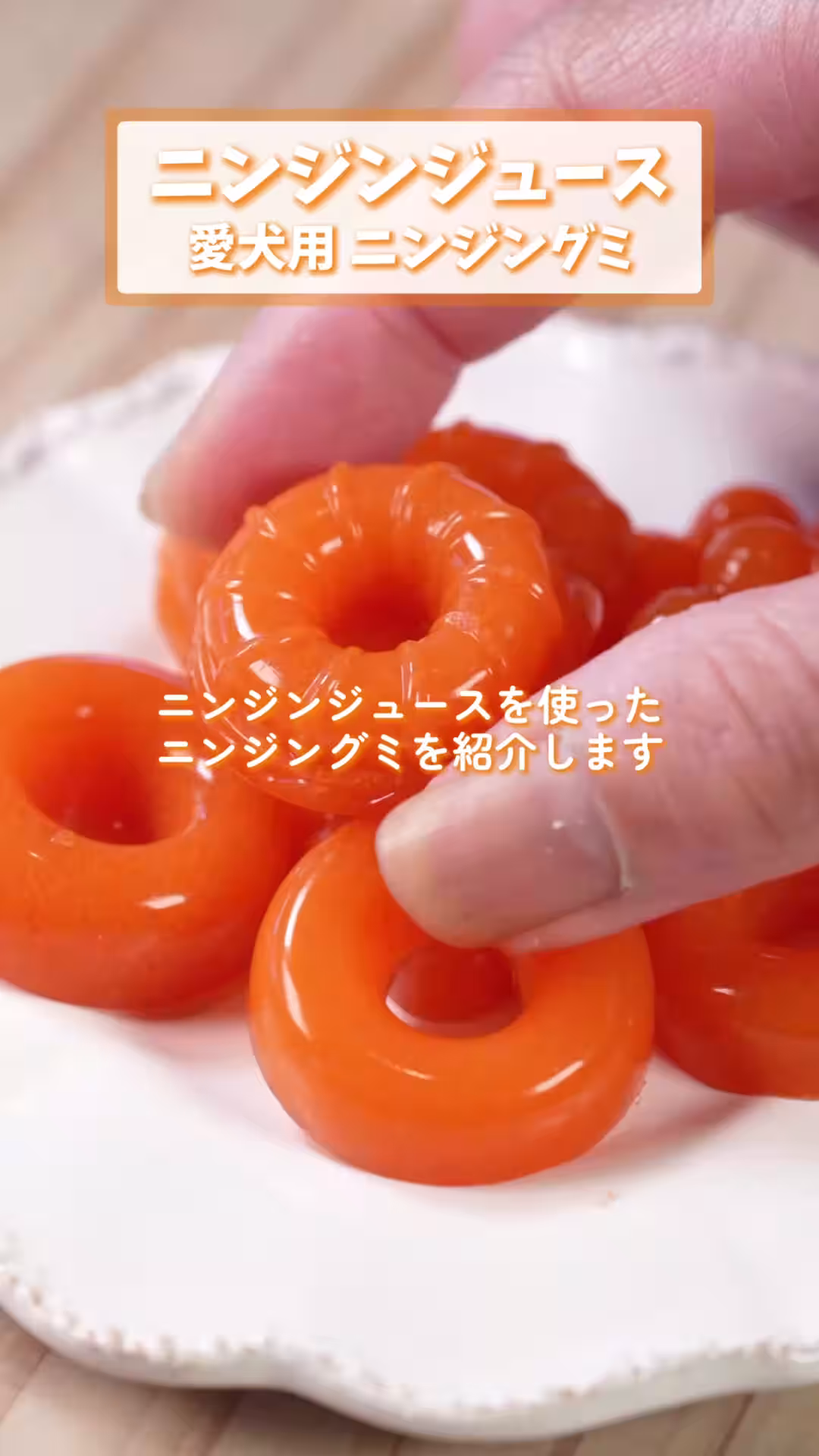 画像22
