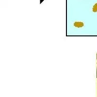 カイコ革命