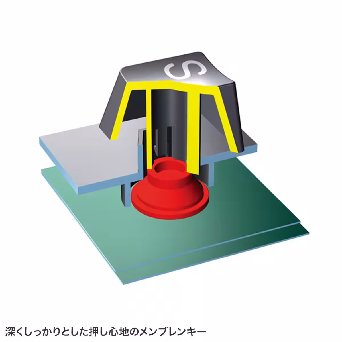 画像10