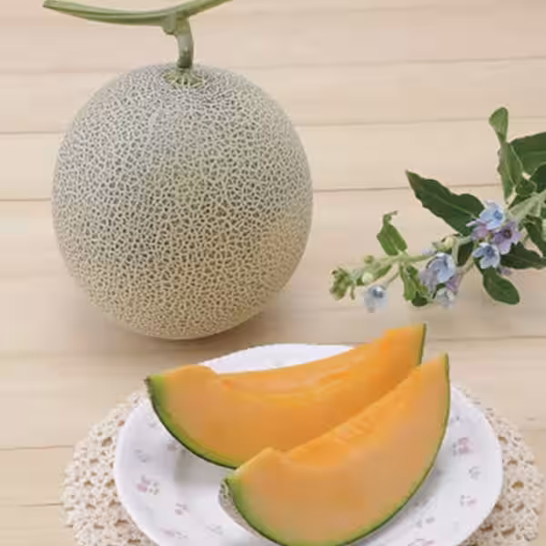 画像18