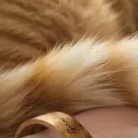 愛猫ブレスレット登場！