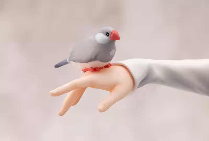 画像8