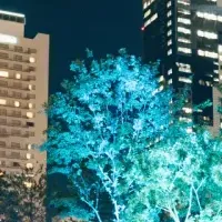 夏の雲海リトリート