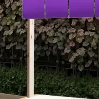 夏の東京駅祭り