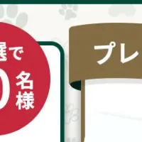 夏のプレゼントキャンペーン