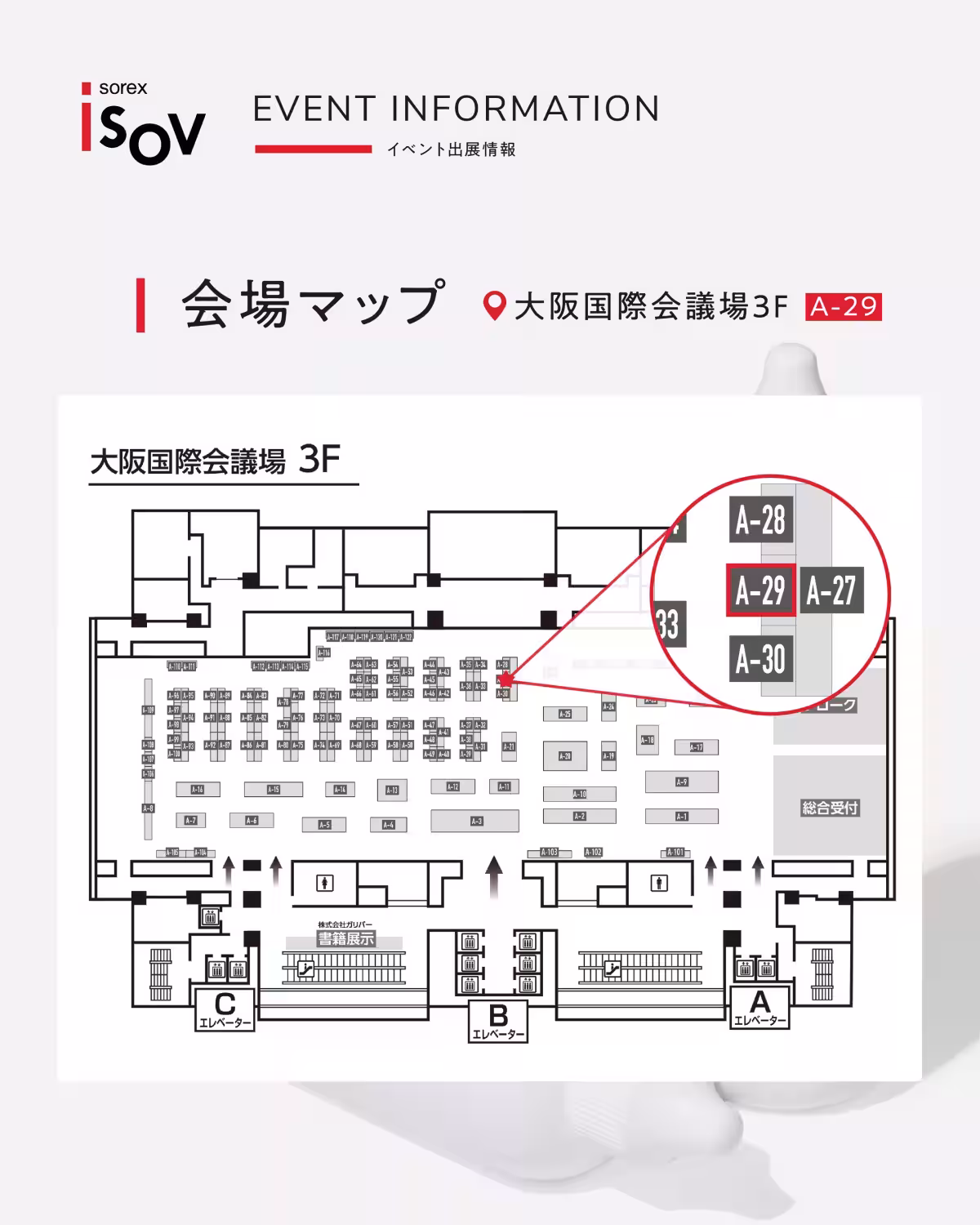 画像12