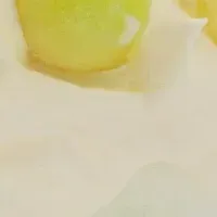 生フルーツかき氷