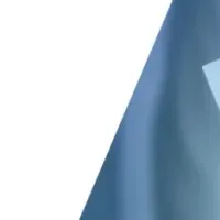 Webで政治活動を支援