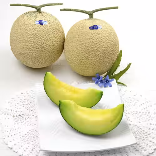 画像11