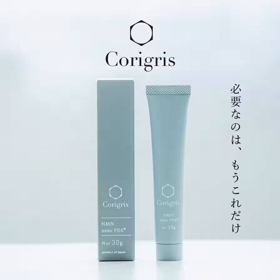 画像8