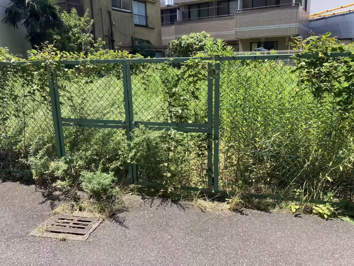 画像6