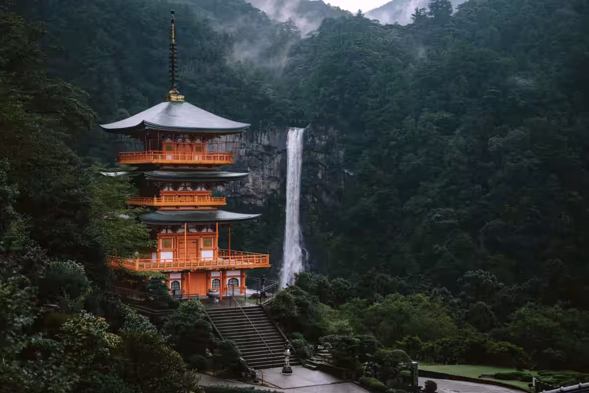 画像8