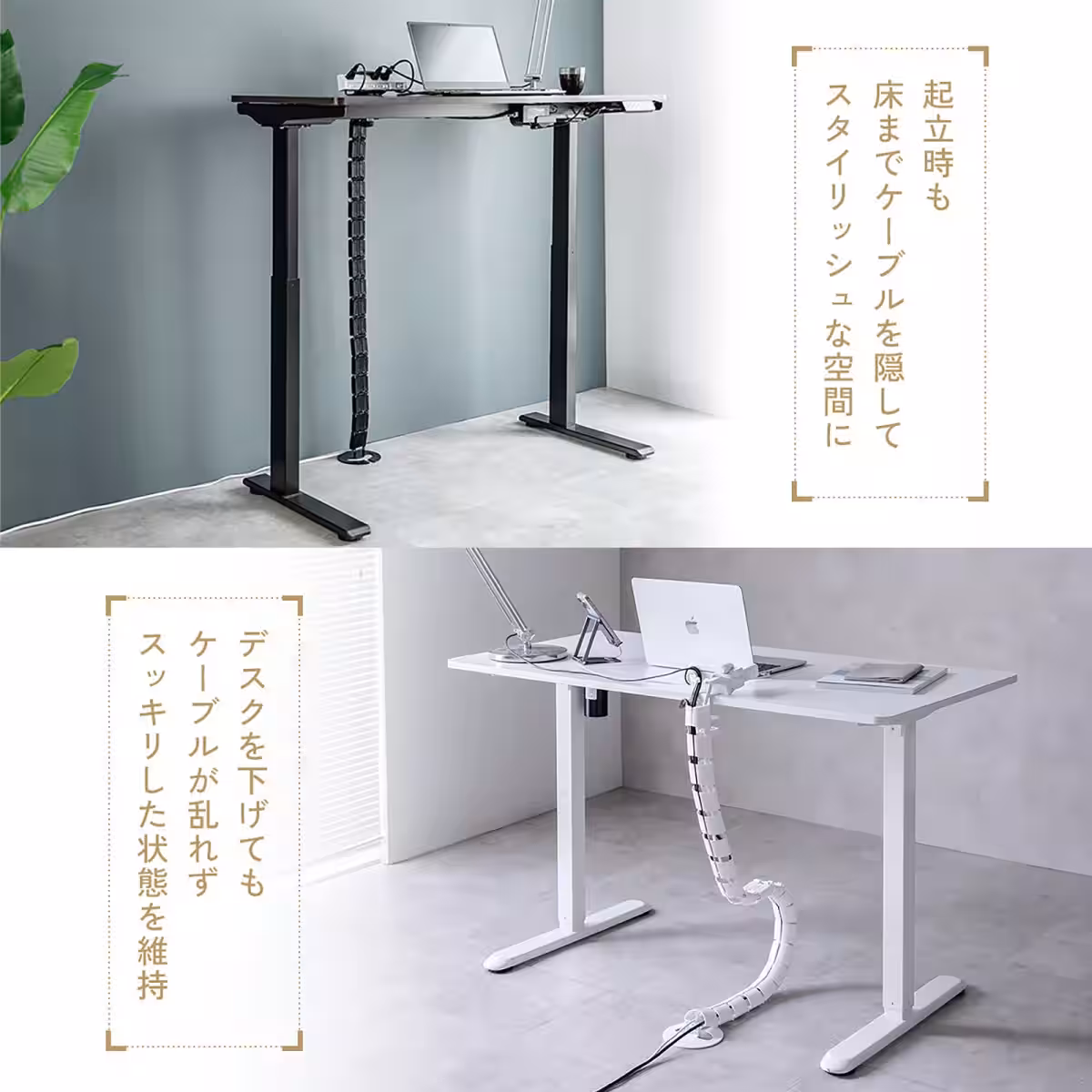 画像13
