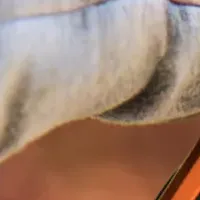 超小型タッチライト