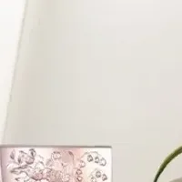 トワニー新作アイメイク