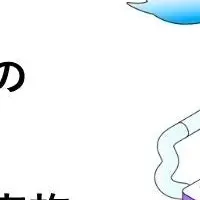 カード審査の実態調査