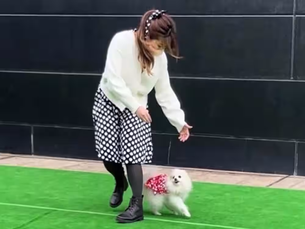 画像8