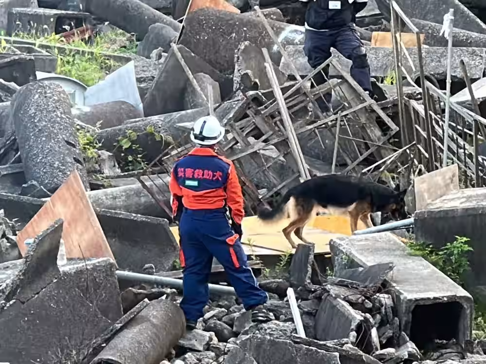 画像9