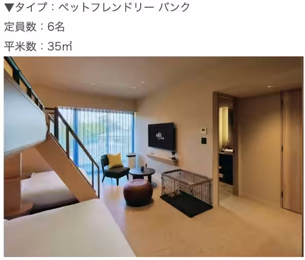 画像22