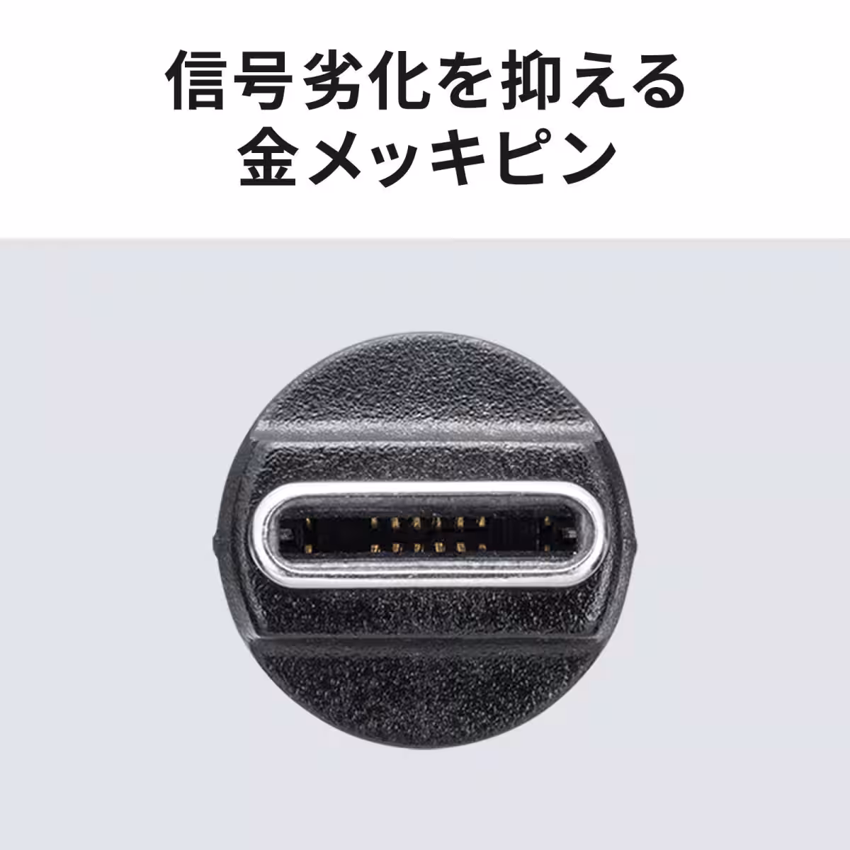 画像15