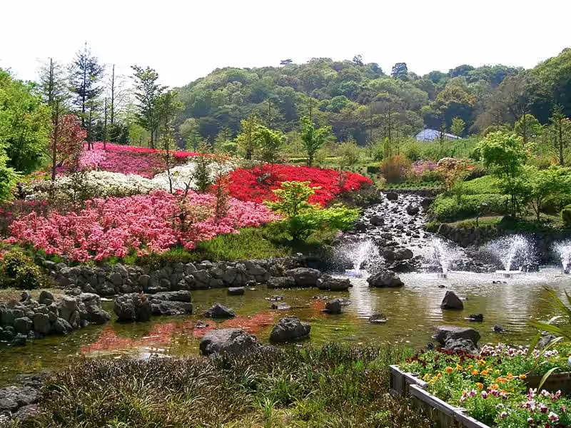 画像11