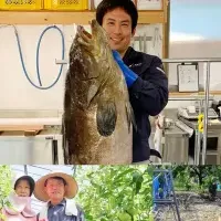 Craftyプロクリエイター制度