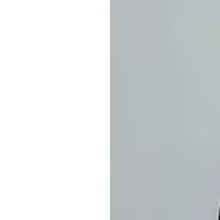 AI研究部会発足