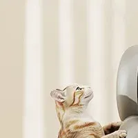 全自動猫トイレの慣れ方