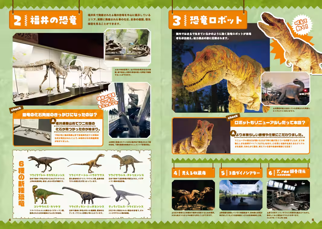 画像10