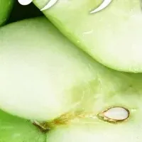 VALX 青りんごプロテイン