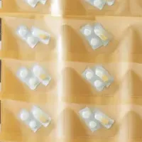 新ラインナップ登場！