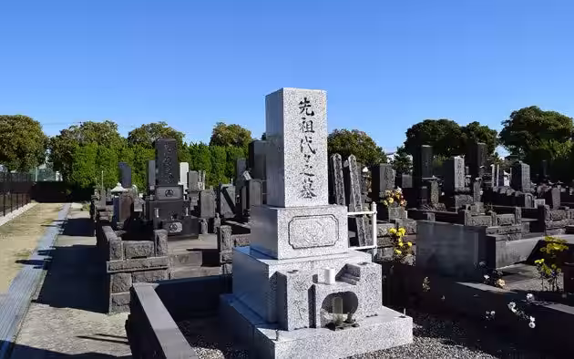 画像6