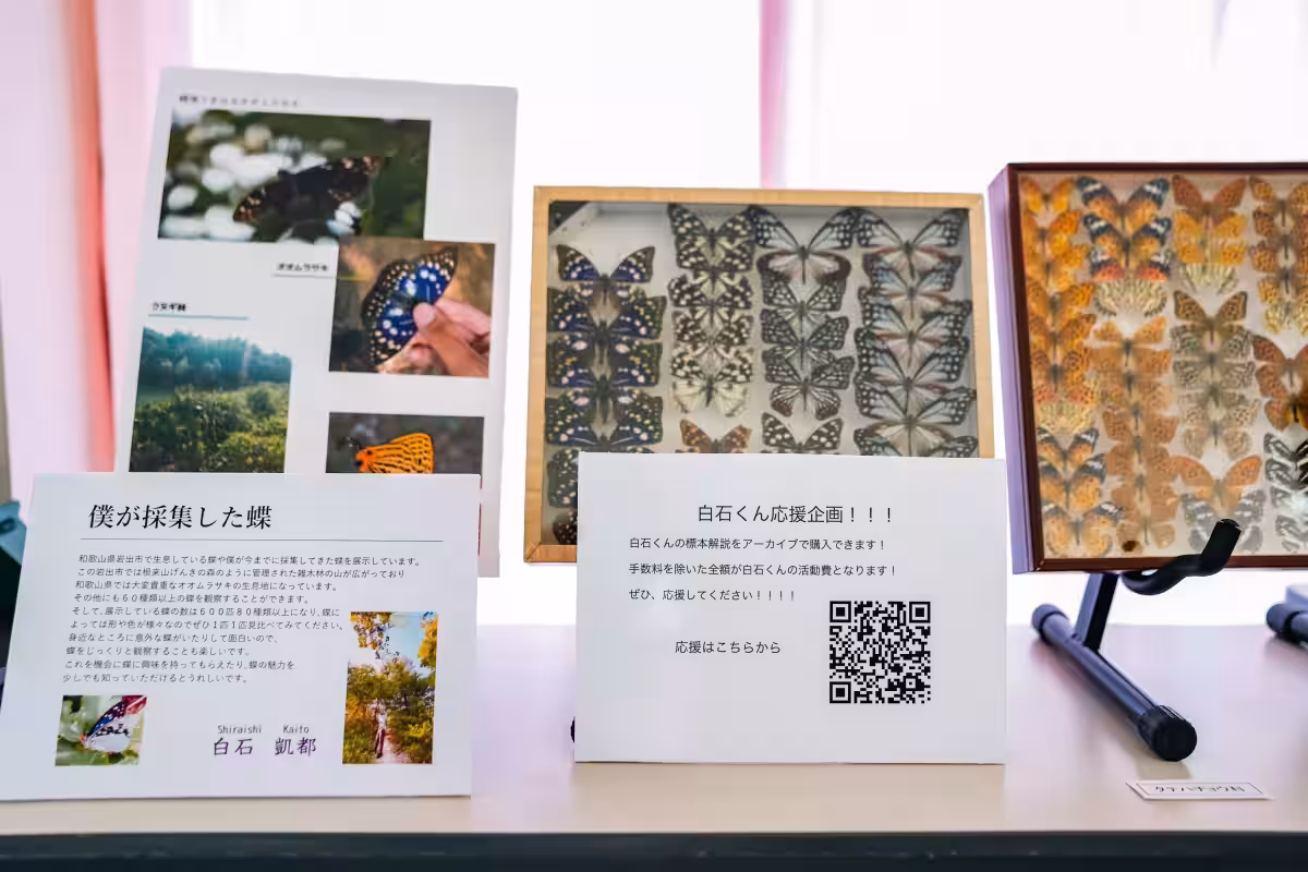 画像10