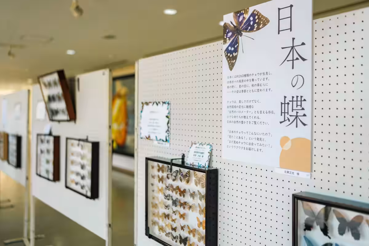 画像8