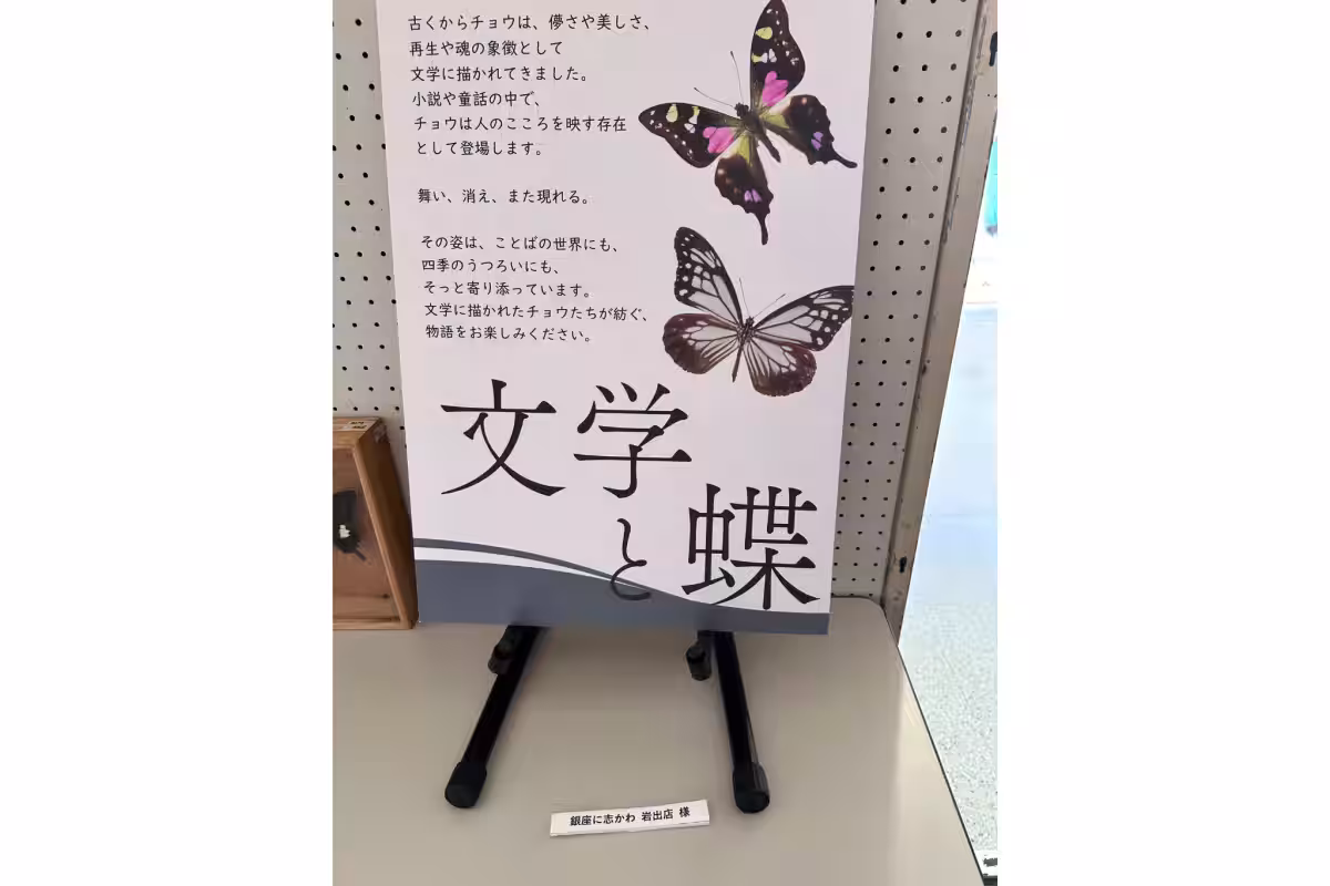 画像12