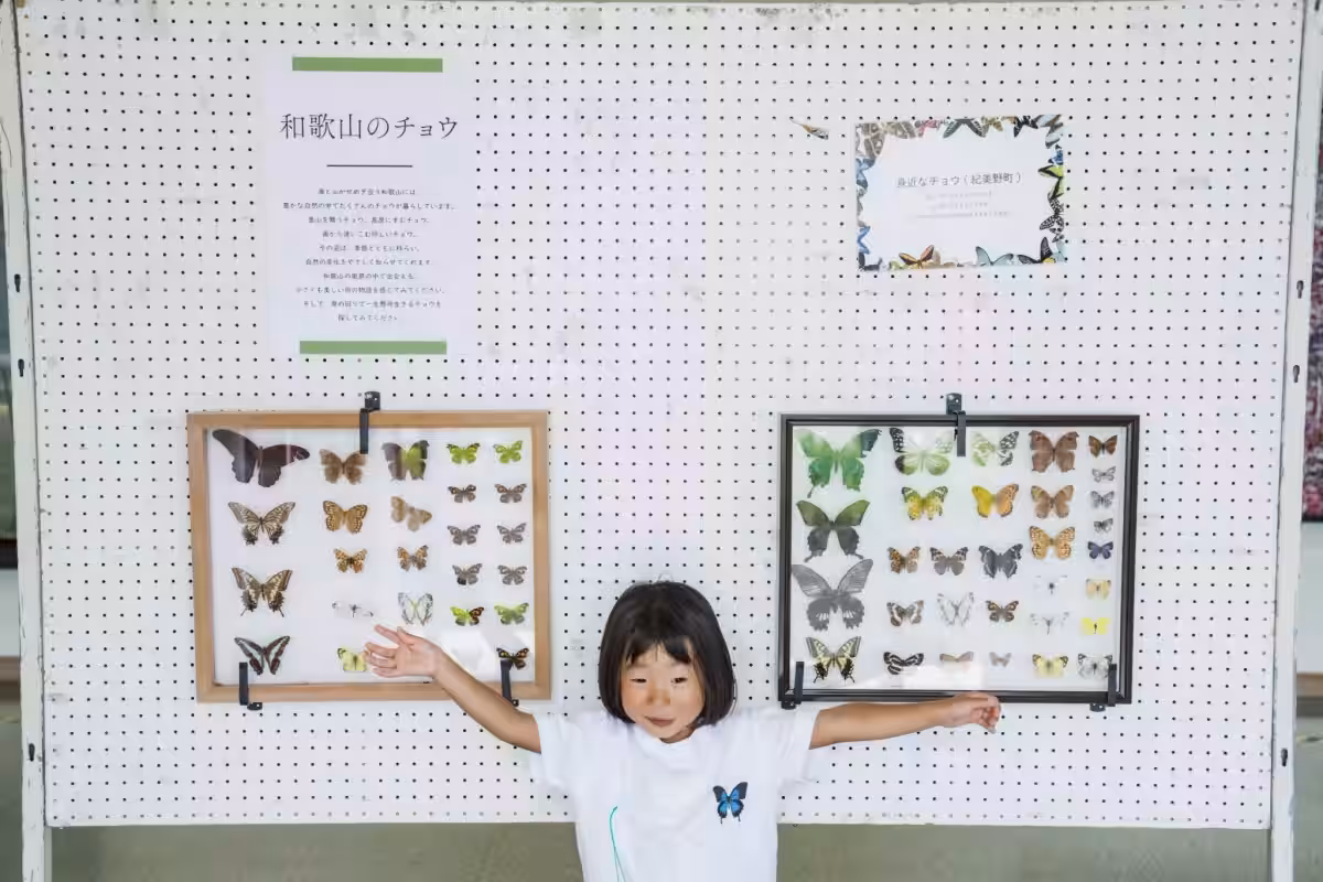 画像9