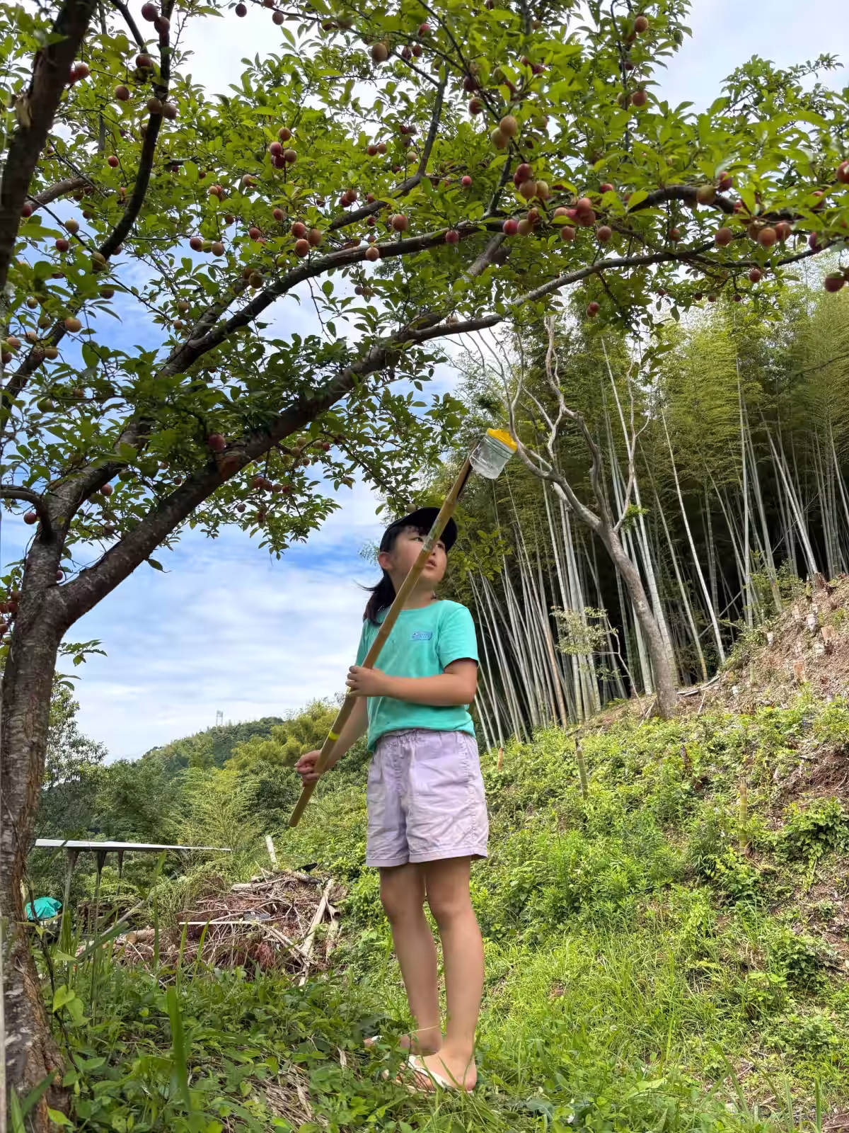 画像2