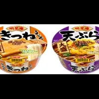 明星庵リニューアル