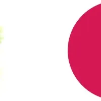 Pie Systemsの新展開