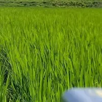 メタン濃度計測技術