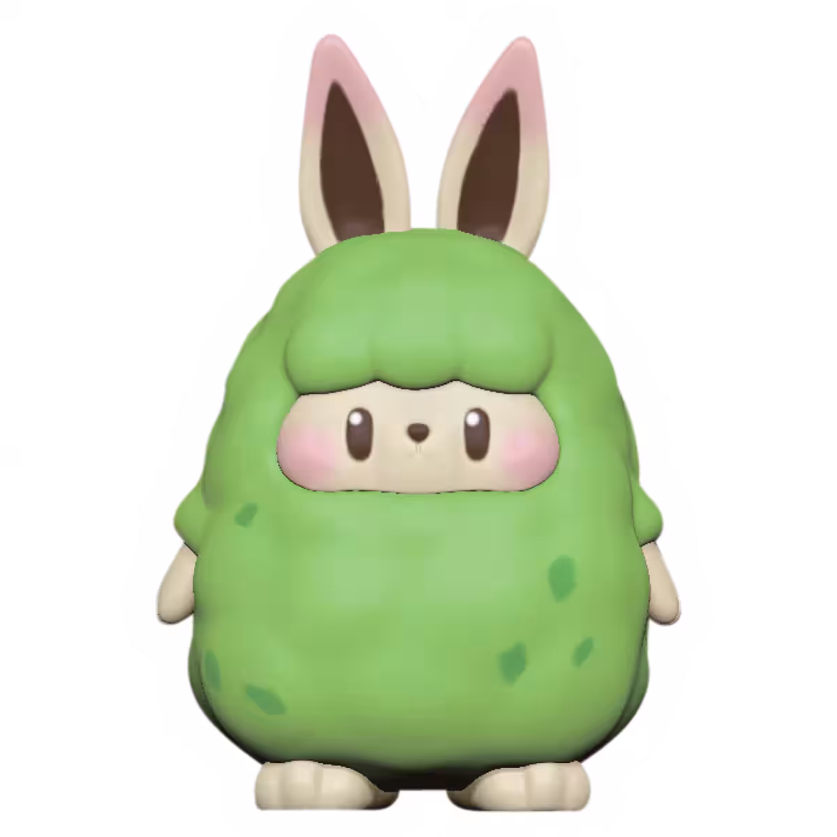 画像5