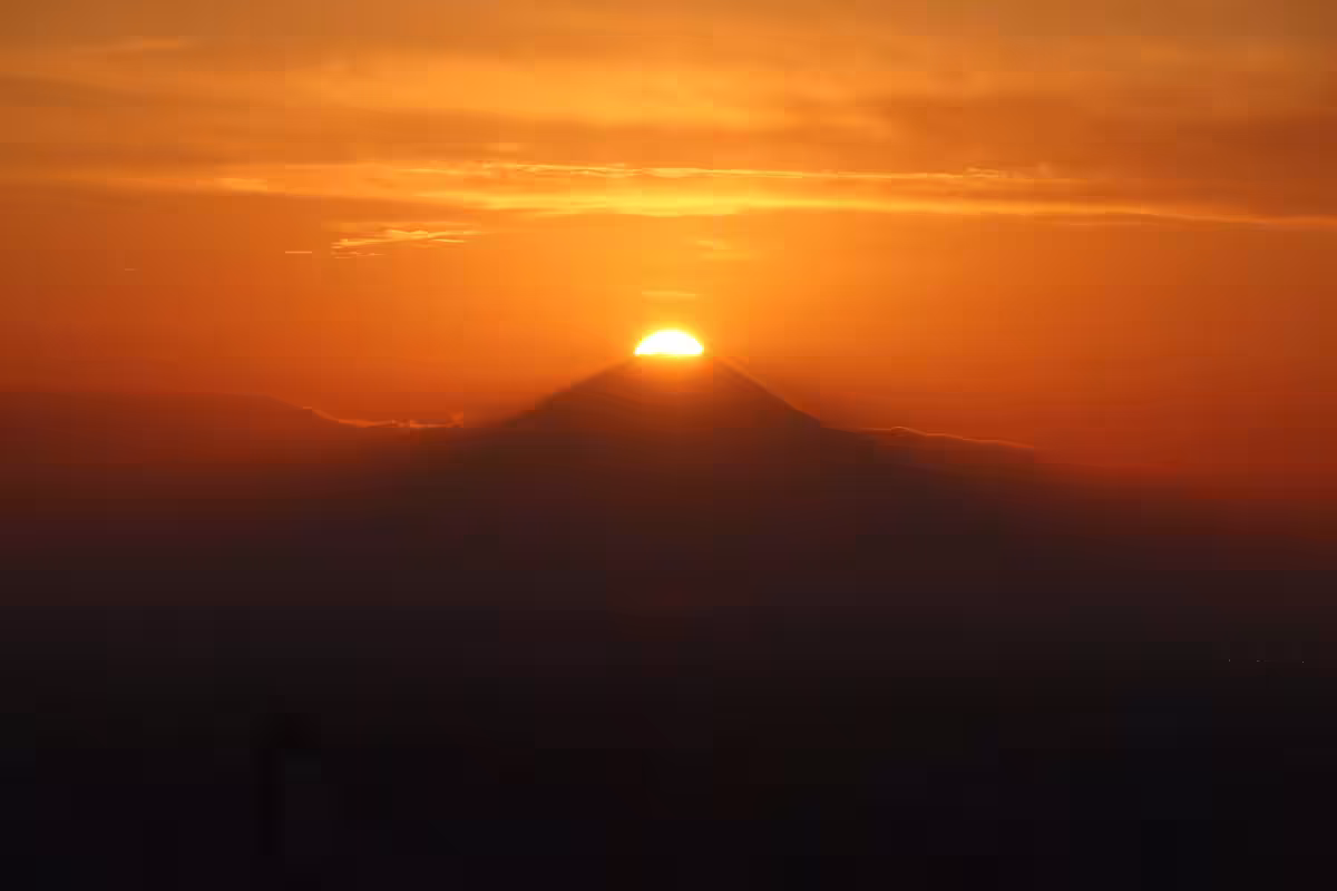画像14
