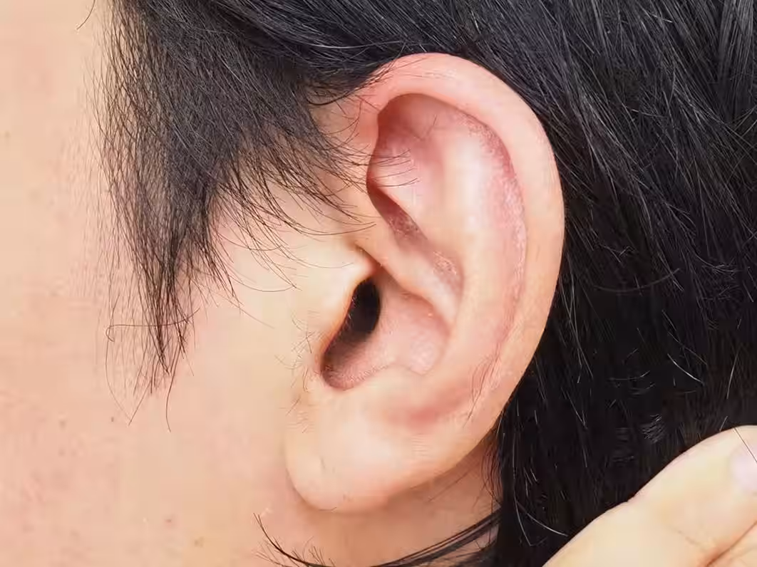画像21