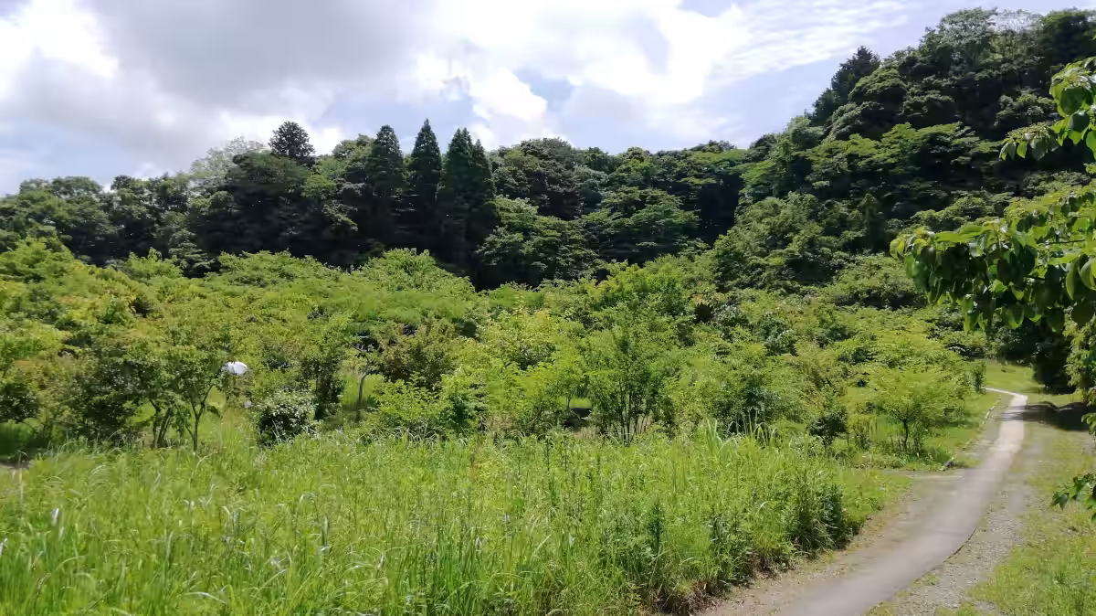 画像13