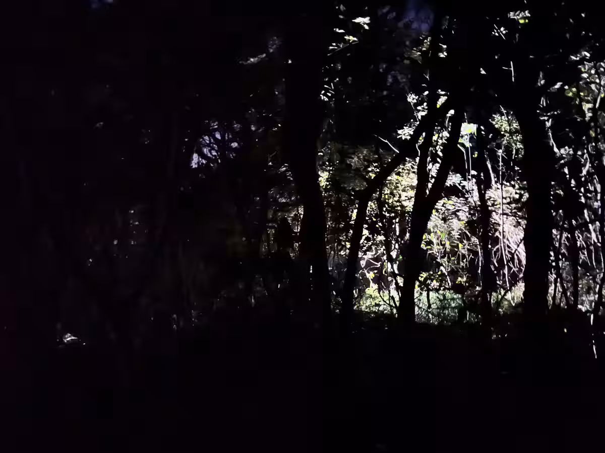 画像8