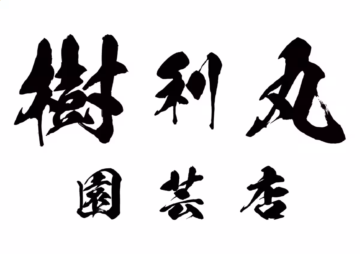 画像14