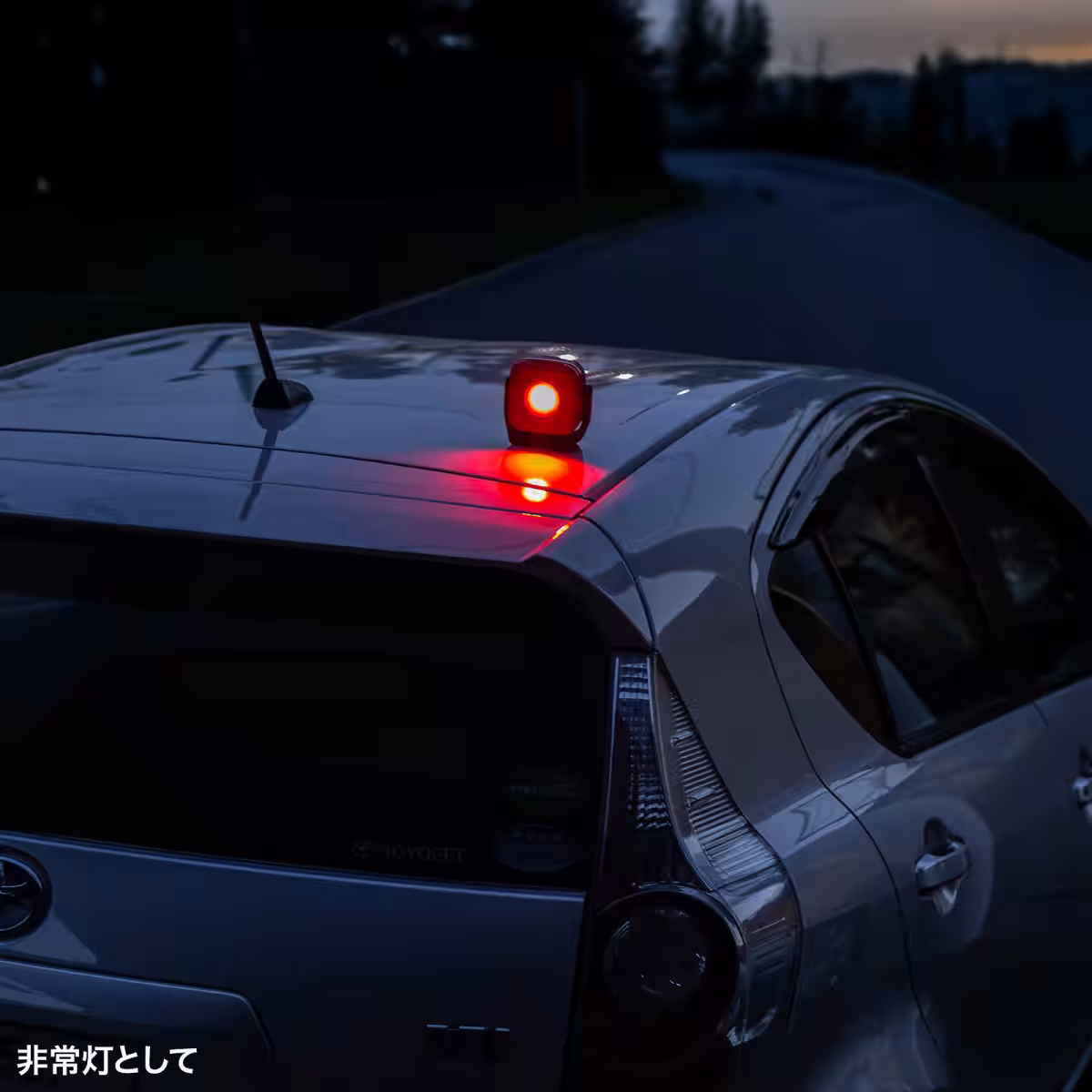 画像8