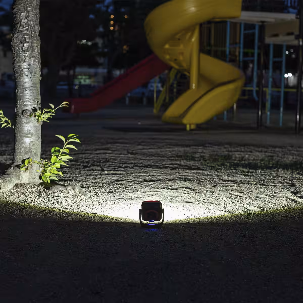 画像10
