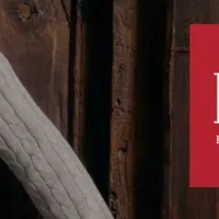 AZULとPOLO BCSのコラボ