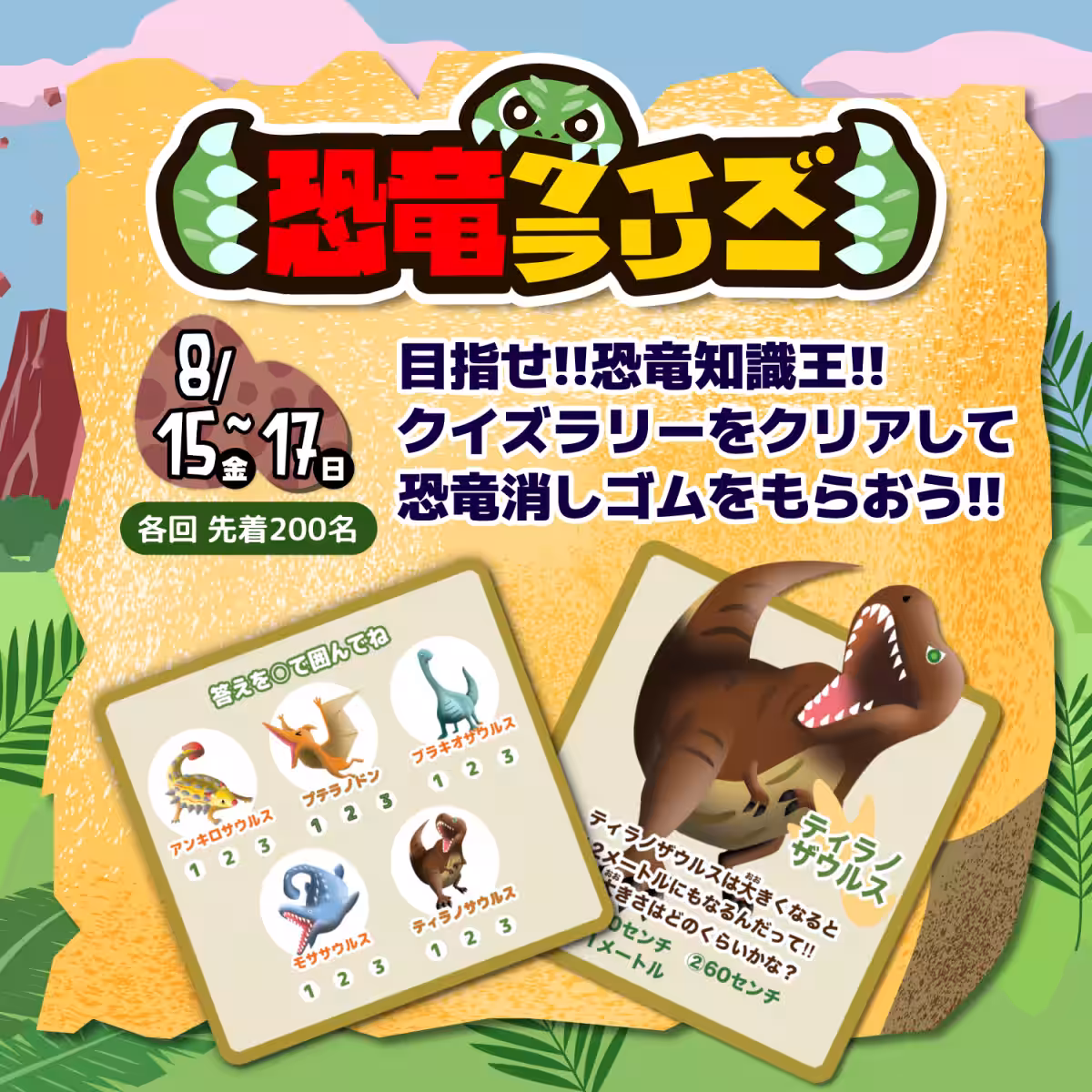画像8